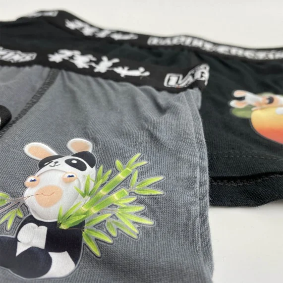 Juego de 5 calzoncillos de algodón para niños Rabbids (Pack calzoncillos para niño) French Market chez FrenchMarket