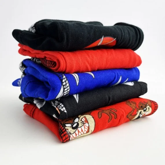 Set di 5 boxer di cotone da ragazzo dei Looney Tunes (Confezione di boxer da ragazzo) French Market chez FrenchMarket