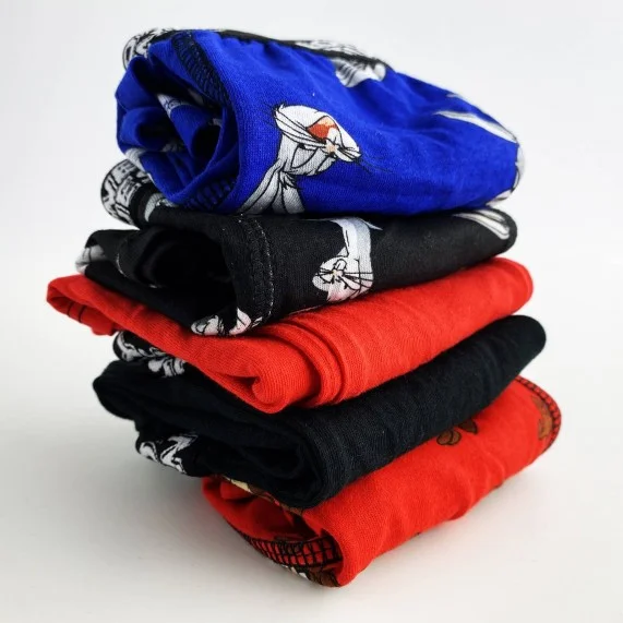Set di 5 boxer di cotone da ragazzo dei Looney Tunes (Confezione di boxer da ragazzo) French Market chez FrenchMarket