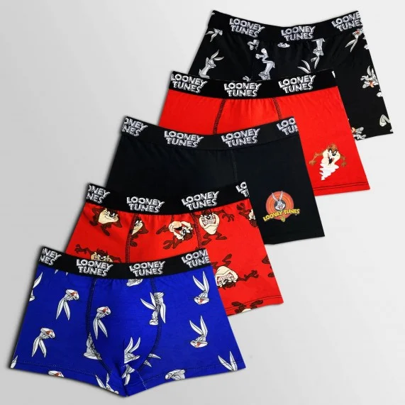 Set di 5 boxer di cotone da ragazzo dei Looney Tunes (Confezione di boxer da ragazzo) French Market chez FrenchMarket
