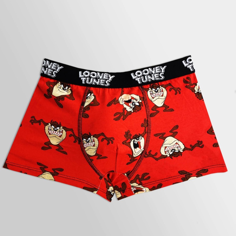 Set med 5 Looney Tunes boxershorts för barn | Boxershorts i bomull - French Market