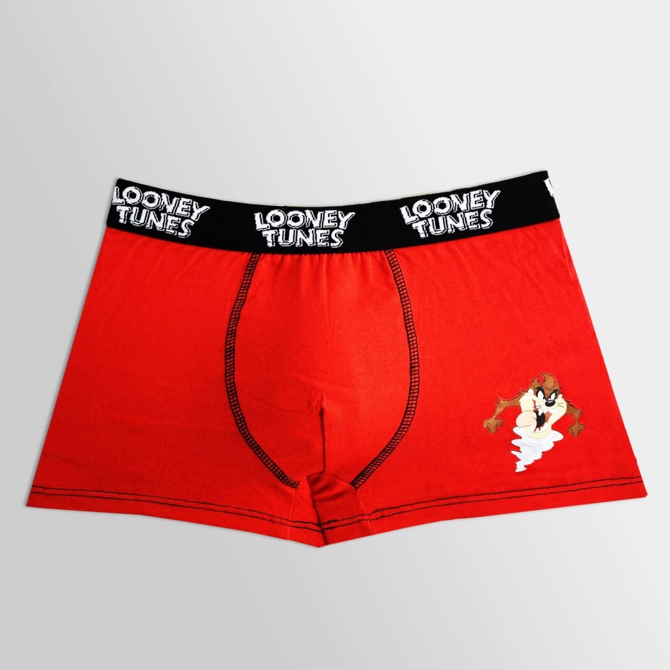 Set med 5 Looney Tunes boxershorts för barn | Boxershorts i bomull - French Market
