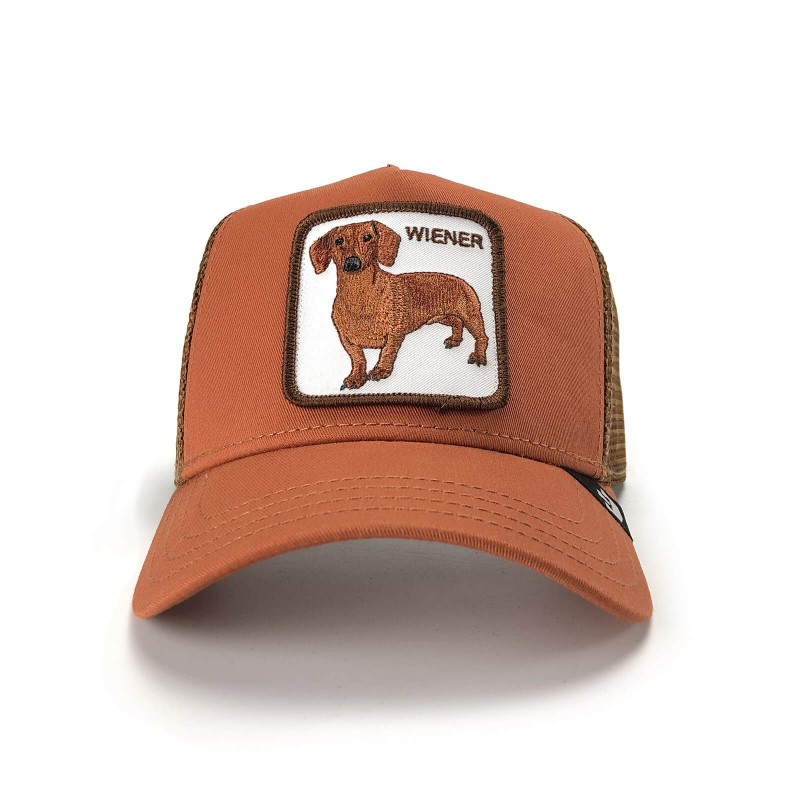 wiener dog hat
