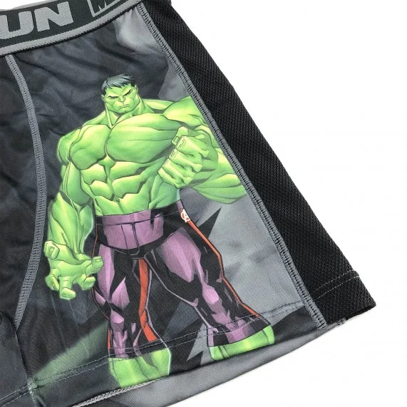 FREEGUN Hombre Aktiv Sport Boxer Marvel Hulk (Calzoncillos para hombre) Freegun chez FrenchMarket