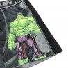 FREEGUN Hombre Aktiv Sport Boxer Marvel Hulk (Calzoncillos para hombre) Freegun chez FrenchMarket