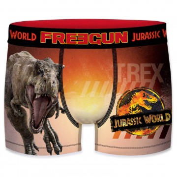 Boxer Homme Jurassic World (Boxers) Freegun chez FrenchMarket