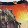 FREEGUN Boxer Homme Jurassic World (Herenboxershorts) Freegun chez FrenchMarket