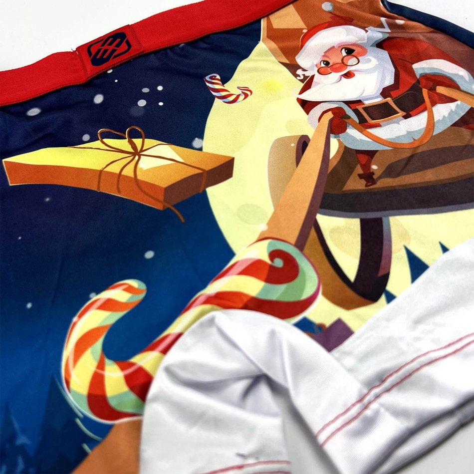 FREEGUN Christmas Collection | Set med 4 boxershorts för pojkar