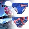 Boy's Spider-Man Bathing Brief (Bath Briefs) French Market on FrenchMarket
