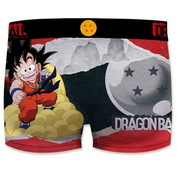 Boxer de Dragon Ball "Serie 2" para hombre (Calzoncillos para hombre) Freegun chez FrenchMarket