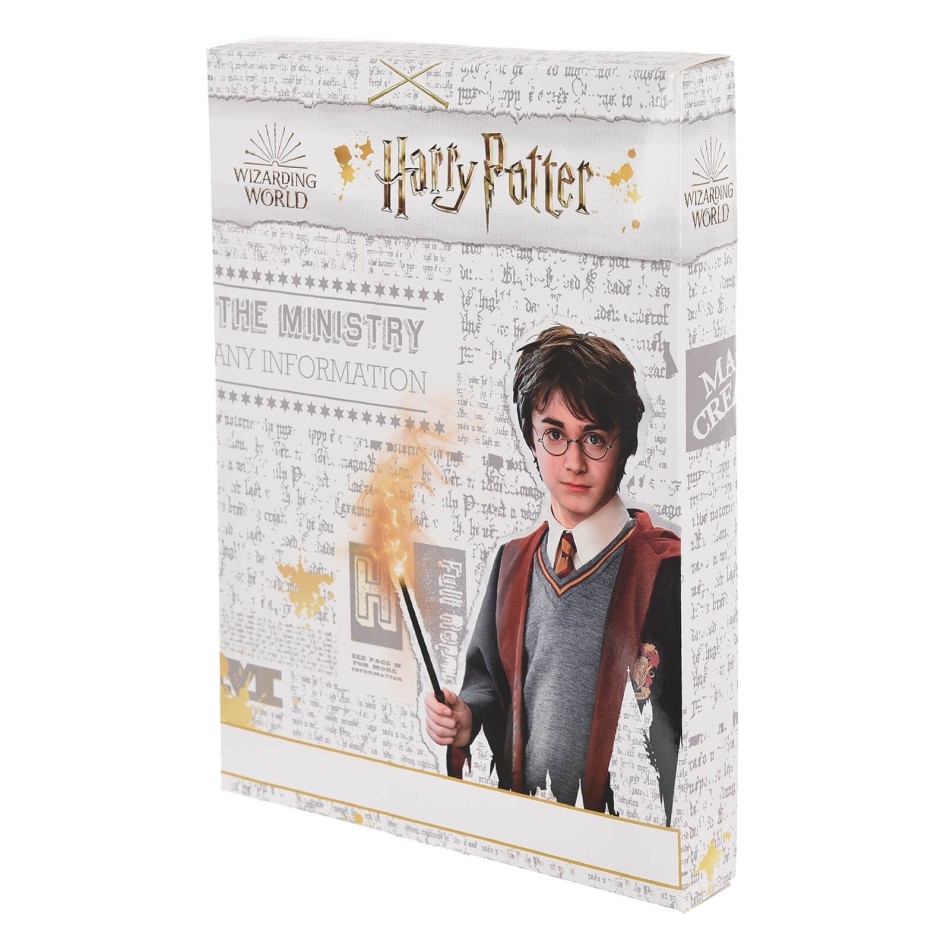 HARRY POTTER Kort pyjamaset för flickor | 100% bomull