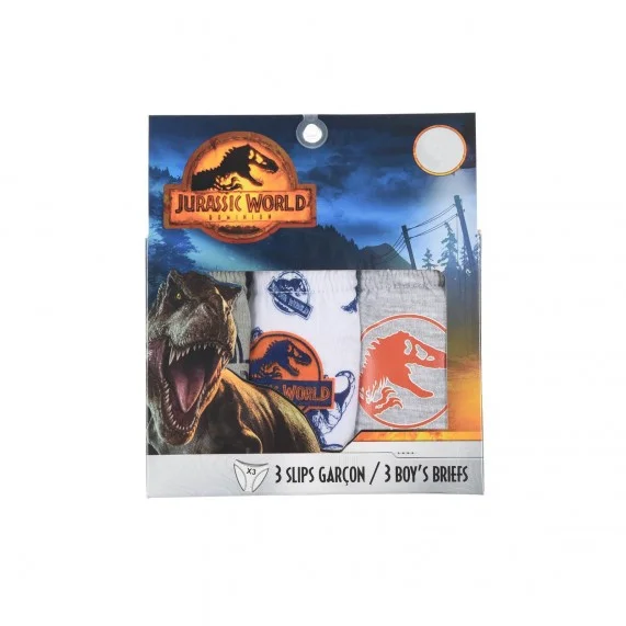 Jurassic World - Set of 3 Boy's Cotton Briefs (Briefs) French Market on FrenchMarket