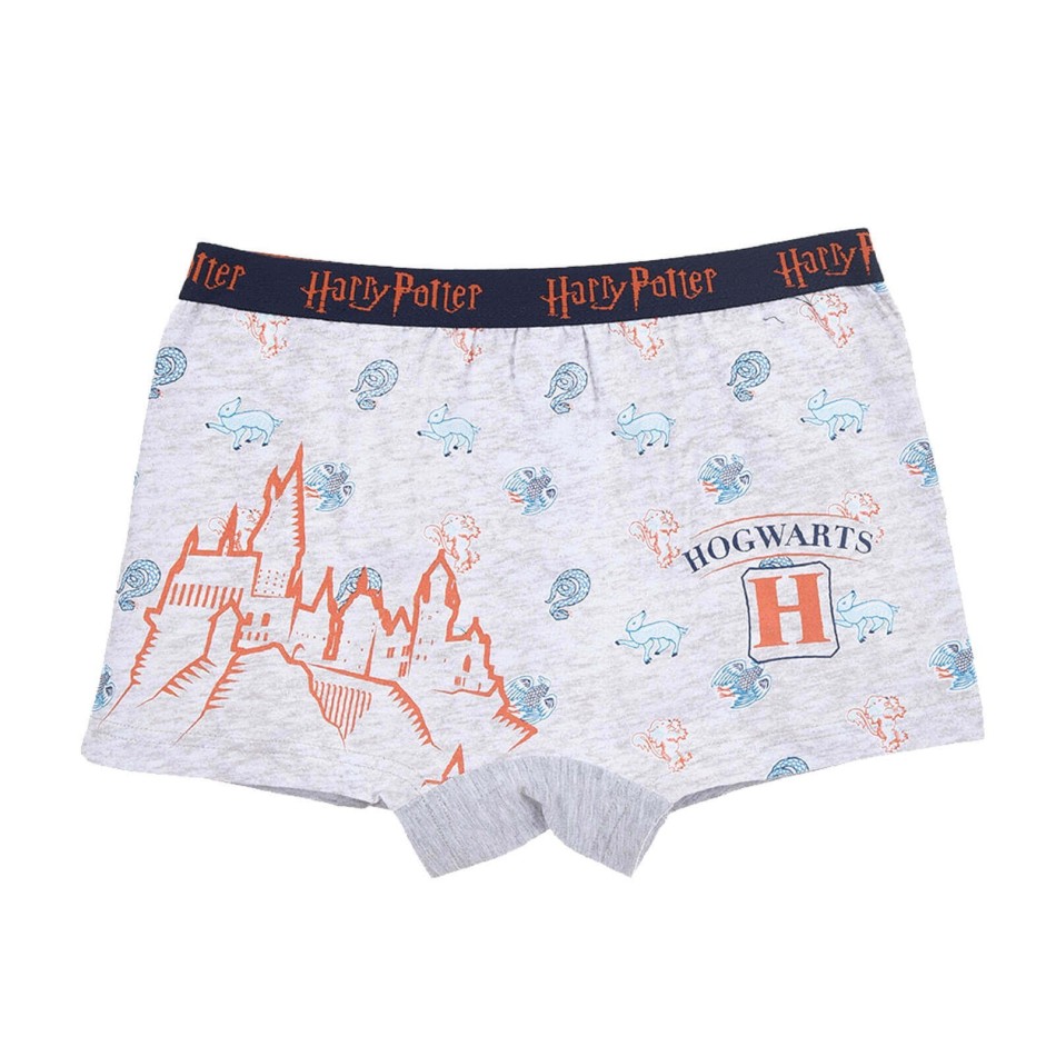 Set med 4 Harry Potter Boxershorts i bomull för pojkar