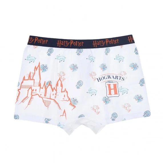Lot de 4 Boxers Coton Garçon Harry Potter (Boxers) French Market chez FrenchMarket