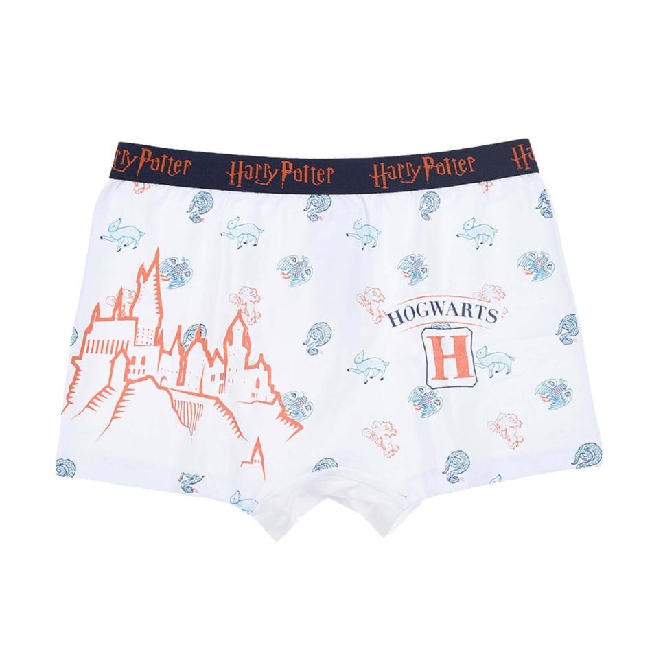 Set med 4 Harry Potter Boxershorts i bomull för pojkar