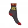 Pack of 6 Pairs of Harry Potter Boy Socks (Fantasies) French Market on FrenchMarket