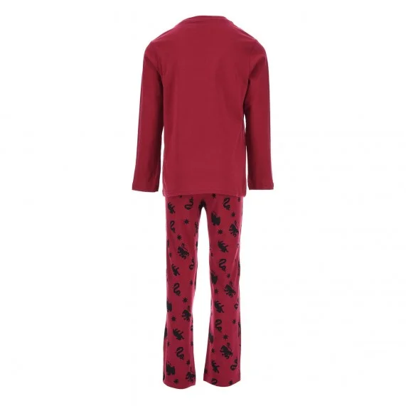 Pyjama Long Coton Garçon Harry Potter "Hogwarts School" (Ensembles de Pyjama) French Market chez FrenchMarket