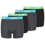 Puma Basic 376 Tinta china Turquesa