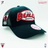 Chicago Bulls HWC "Team Seal" NBA Trucker Cap (Caps) Mitchell & Ness on FrenchMarket