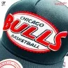 Chicago Bulls HWC "Team Seal" NBA Trucker Cap (Caps) Mitchell & Ness on FrenchMarket