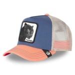 Blauw / Koraal