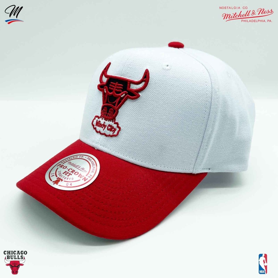 Chicago Bulls HWC "Team 2 Tone 2.0" NBA Cap (Caps) Mitchell & Ness on FrenchMarket