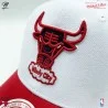 Chicago Bulls HWC "Team 2 Tone 2.0" NBA Cap (Caps) Mitchell & Ness on FrenchMarket