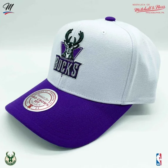 Milwaukee Bucks HWC "Team 2 Tone 2.0" NBA Cap (Caps) Mitchell & Ness chez FrenchMarket