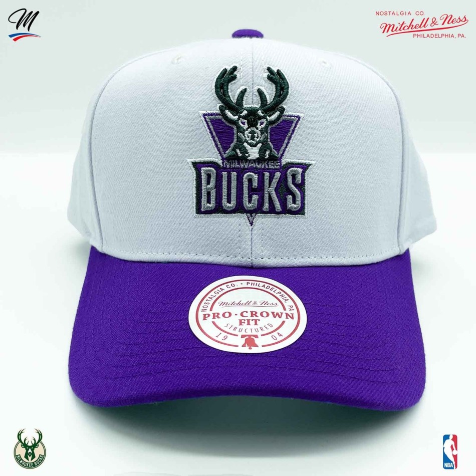 Milwaukee Bucks HWC "Team 2 Tone 2.0" NBA Cap (Caps) Mitchell & Ness chez FrenchMarket