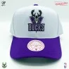 Milwaukee Bucks HWC "Team 2 Tone 2.0" NBA Cap (Caps) Mitchell & Ness chez FrenchMarket