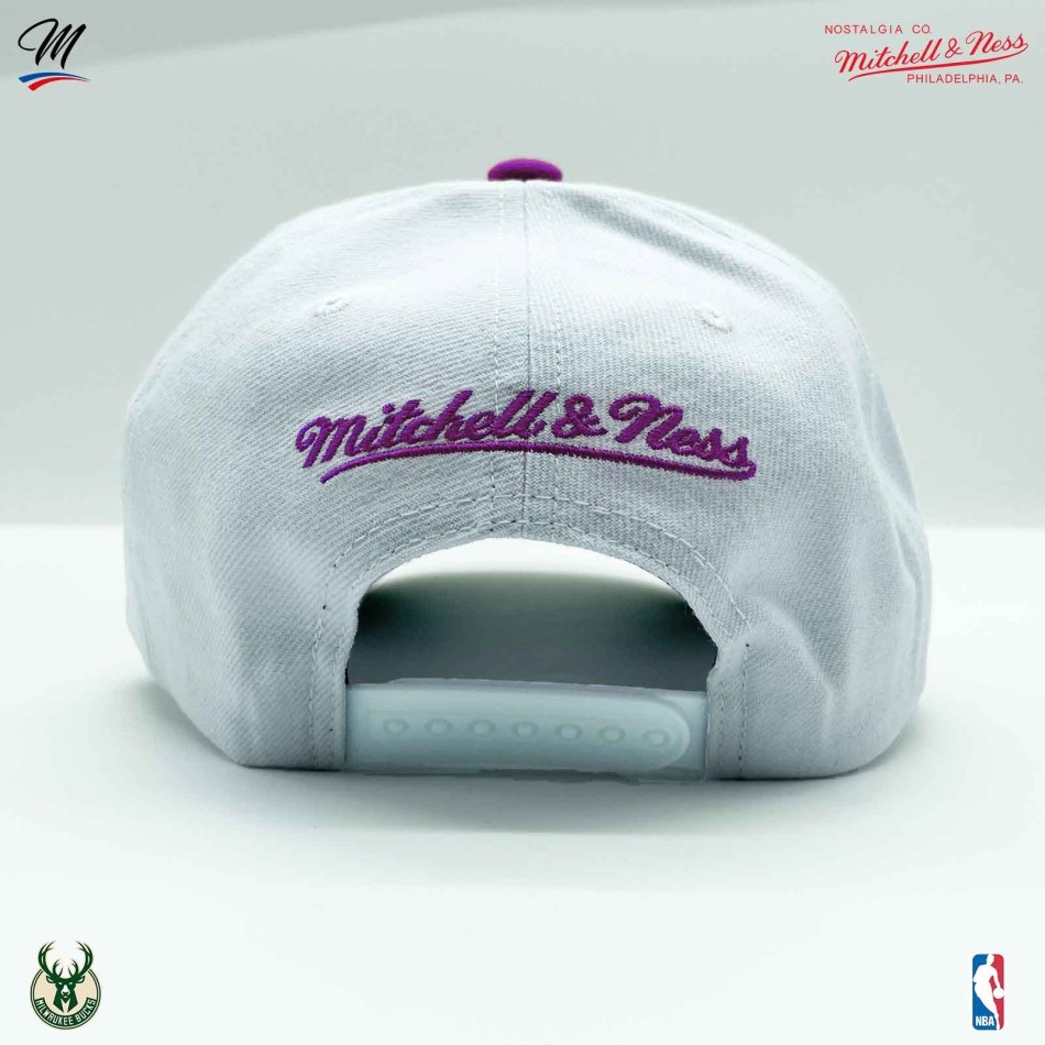 Milwaukee Bucks HWC "Team 2 Tone 2.0" NBA Cap (Caps) Mitchell & Ness chez FrenchMarket