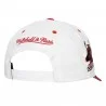 Chicago Bulls "Tail Sweep Pro" NBA cap (Caps) Mitchell & Ness on FrenchMarket