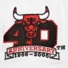 NBA Chicago Bulls "Tail Sweep Pro" Mütze (Cap) Mitchell & Ness auf FrenchMarket