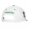 Cappello NBA Boston Celtics "Tail Sweep Pro (Cappellino) Mitchell & Ness chez FrenchMarket