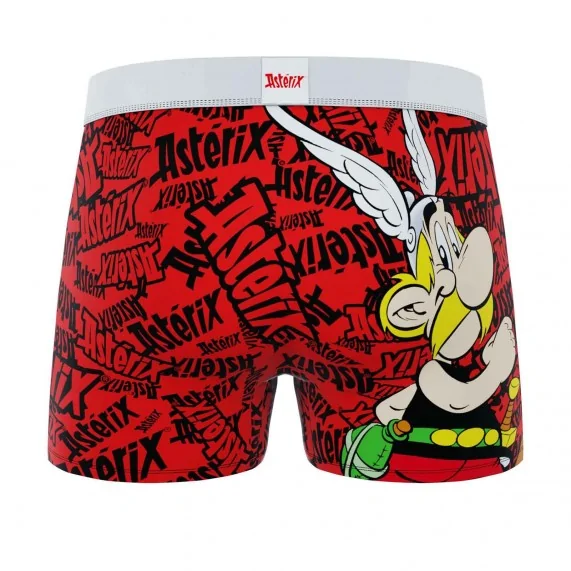 Calzoncillos de microfibra "Astérix" para hombre (Calzoncillos para hombre) Freegun chez FrenchMarket