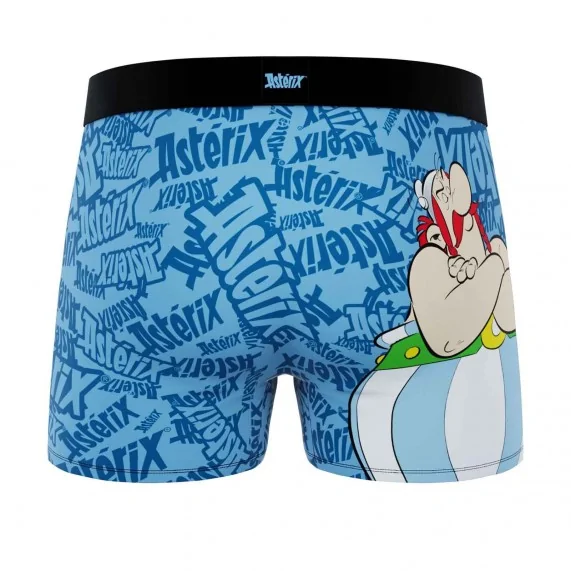 Boxer Mann Mikrofaser "Obelix" (Boxershorts Mann) Freegun auf FrenchMarket