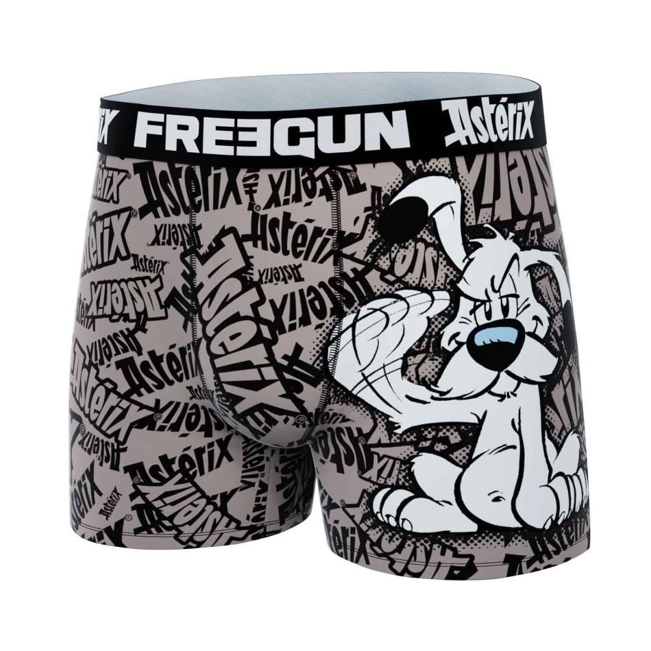 Idéfix" Men's Microfiber Boxer Briefs (Men's boxer shorts) Freegun on FrenchMarket