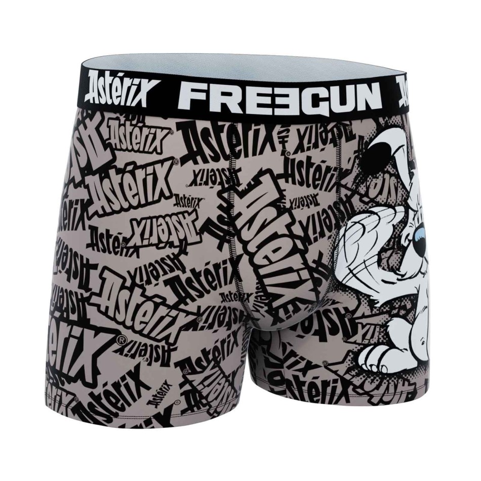 Idéfix" Men's Microfiber Boxer Briefs (Men's boxer shorts) Freegun on FrenchMarket
