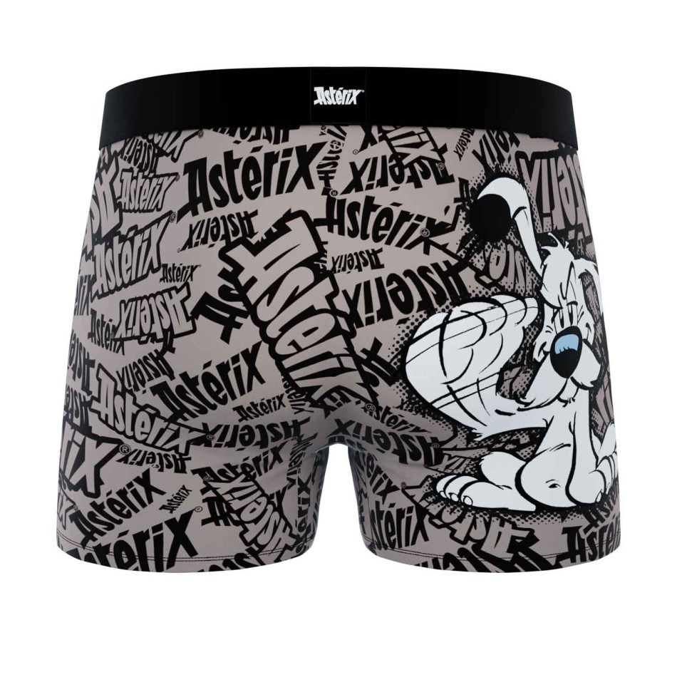 Idéfix" Men's Microfiber Boxer Briefs (Men's boxer shorts) Freegun on FrenchMarket