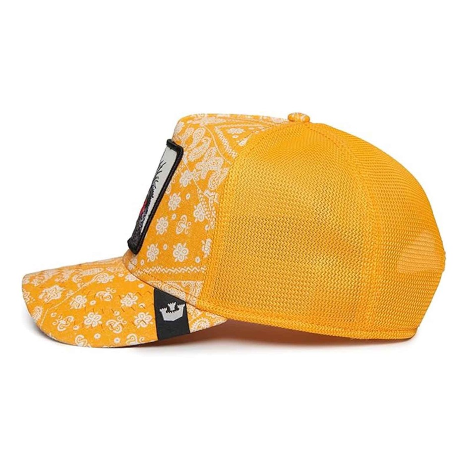 GOORIN BROS "Punk" Parrot Paisley Cockatoo Cap