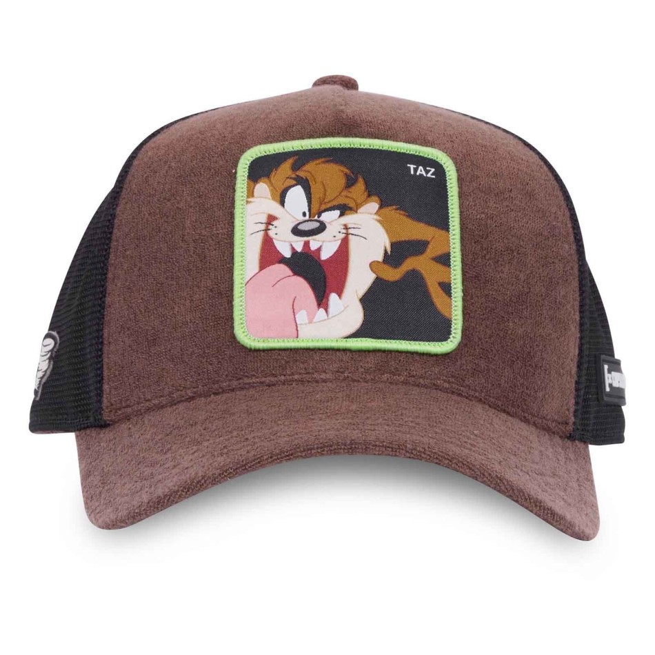 Casquette Eponge Looney Tunes "TAZ"