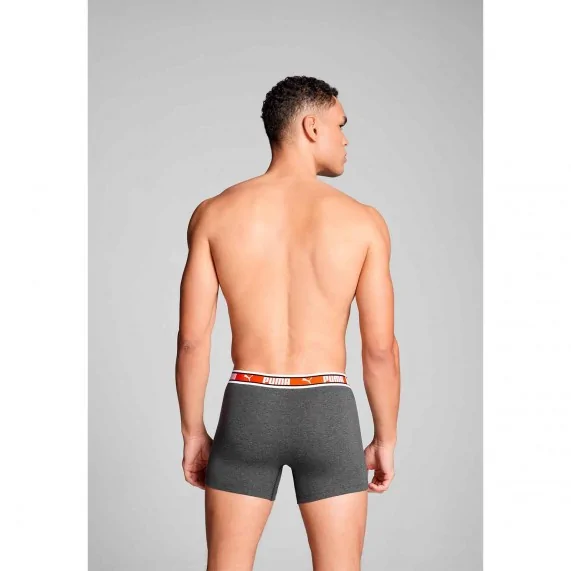 Set van 2 herenboxershorts katoen "Dual Logo (Herenboxershorts) PUMA chez FrenchMarket