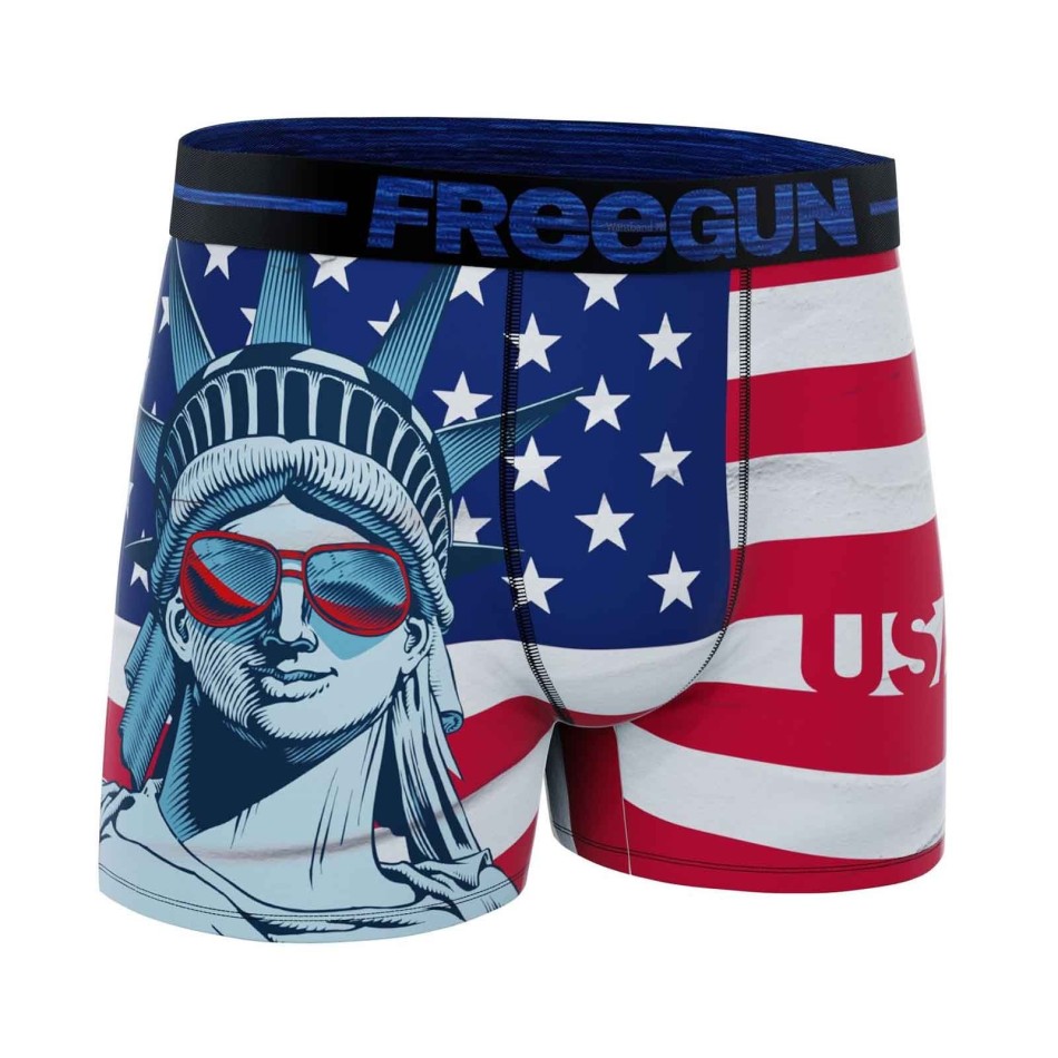 FREEGUN Set om 4 mikrofiberboxershorts för pojkar "USA" Eagle Dollars Flag