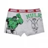 Set van 4 Marvel Avenger katoenen boxers voor jongens (Set jongensboxershorts) French Market chez FrenchMarket