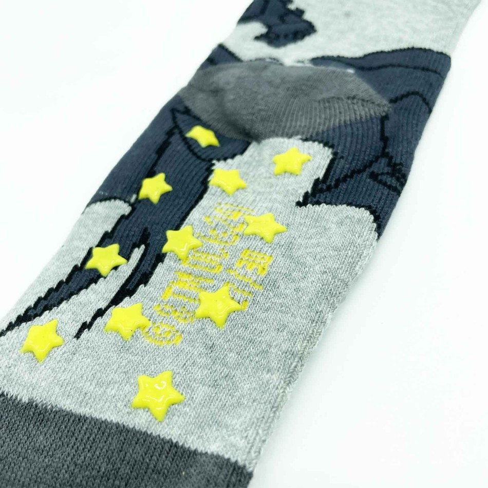 BATMAN DC Comics Pair of Anti-slip Socks for Boys