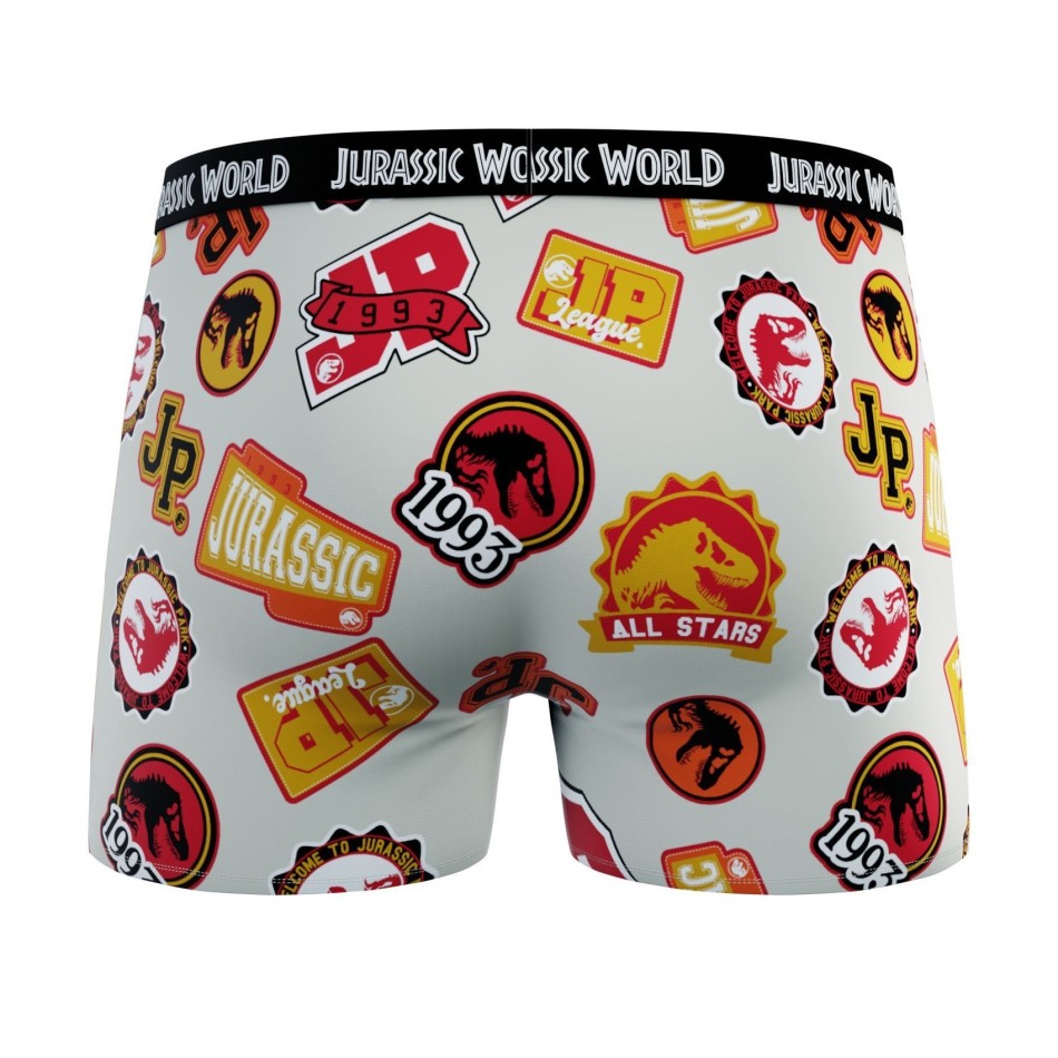 Set di 4 boxer Jurassic Park da ragazzo in 100% cotone (Confezione di boxer da ragazzo) French Market chez FrenchMarket