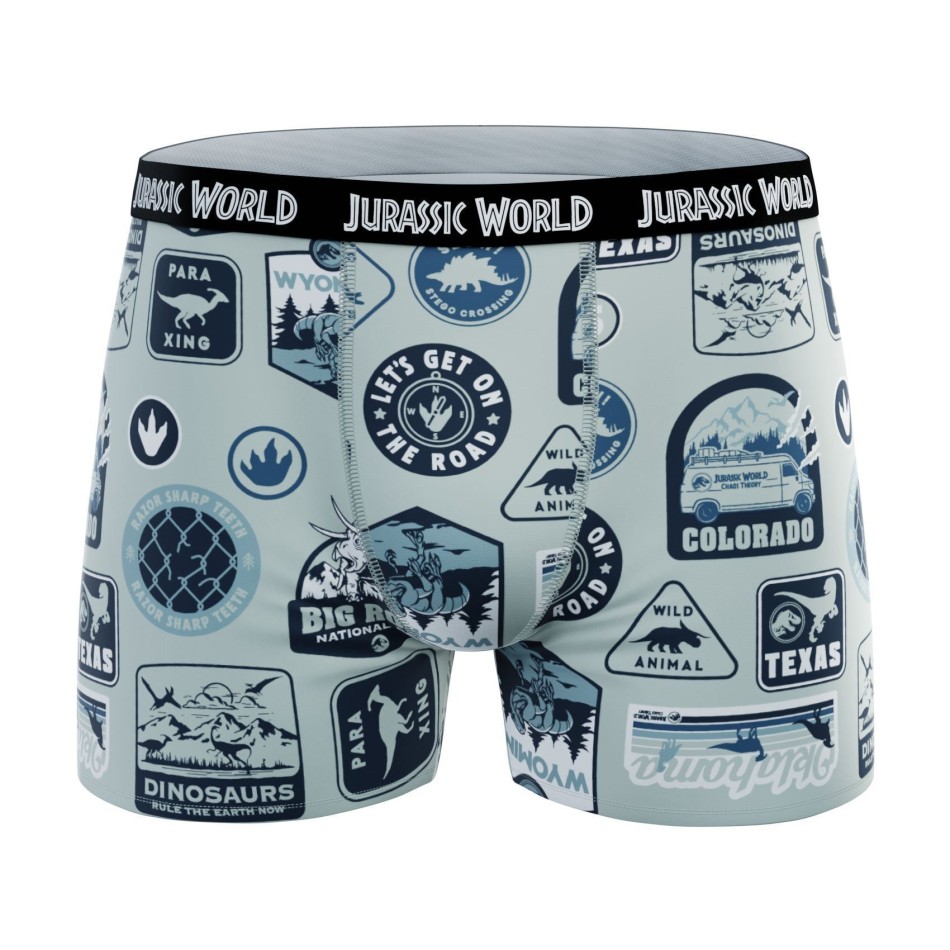 JURASSIC PARK Dinosaur Set of 4 100% Cotton Boxers for Boys
