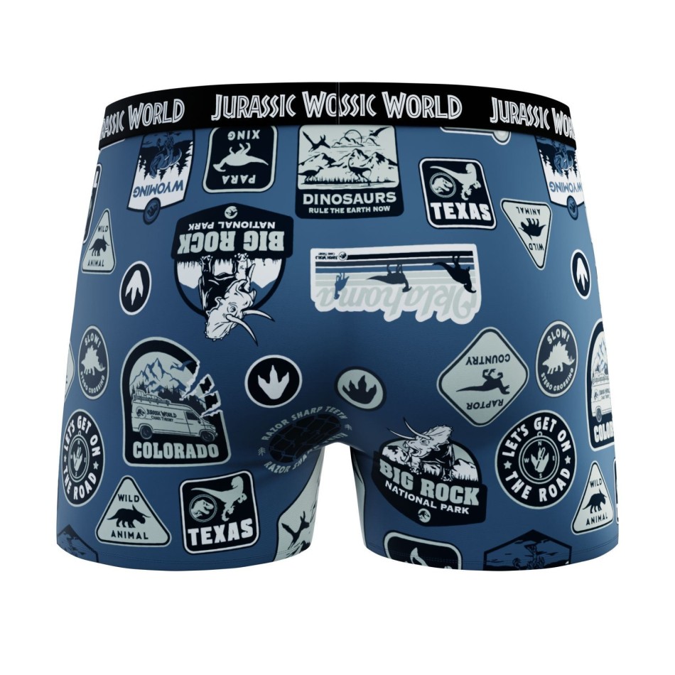 Lot de 4 Boxers 100% Coton Garçon Jurassic Park