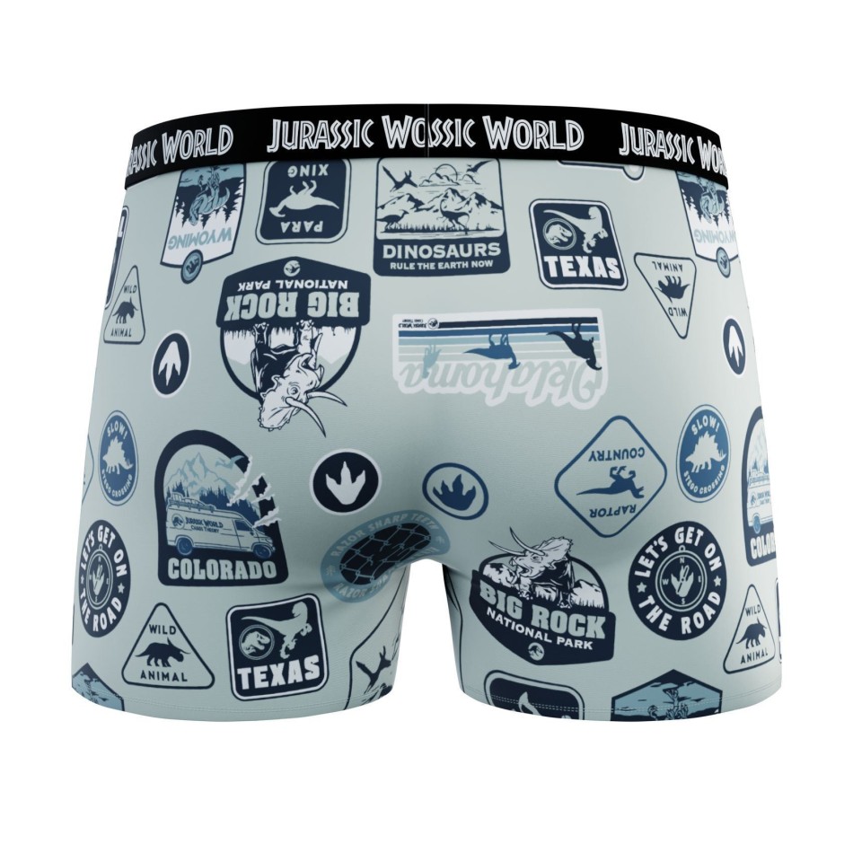 Lot de 4 Boxers 100% Coton Garçon Jurassic Park