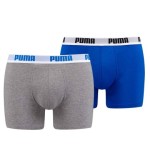 Basic 417 Blue/Grey